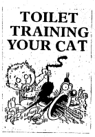 Toilet Training Your Cat