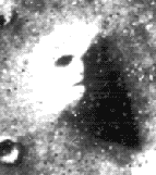 Face on Mars