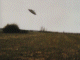 ufo001_thumb.gif (3686 bytes)