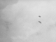 ufo008_thumb.gif (4065 bytes)