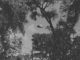 ufo013_thumb.gif (5728 bytes)