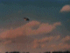 ufo015_thumb.gif (3977 bytes)