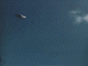 ufo022_thumb.gif (3164 bytes)